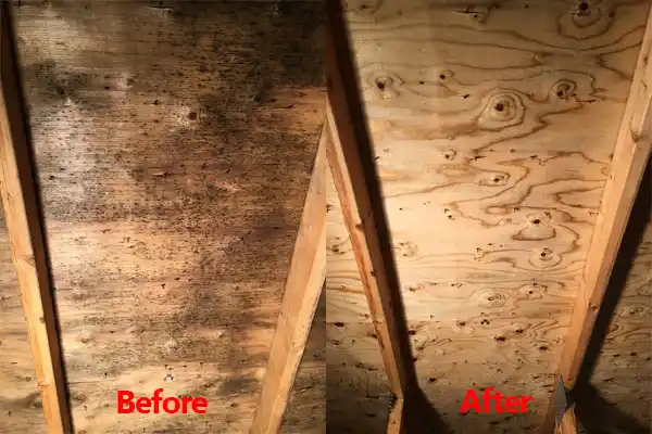 water damage restoration service Shorewood-Tower Hills-Harbert